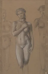 Nainen alaston